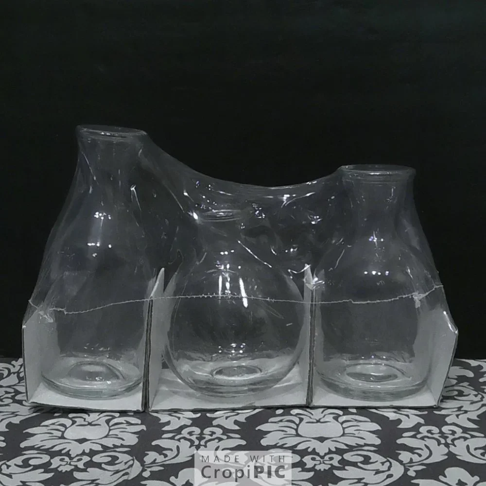 Target Bullseye 3ct Glass Vases